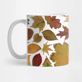 Autumn Leaves Mug